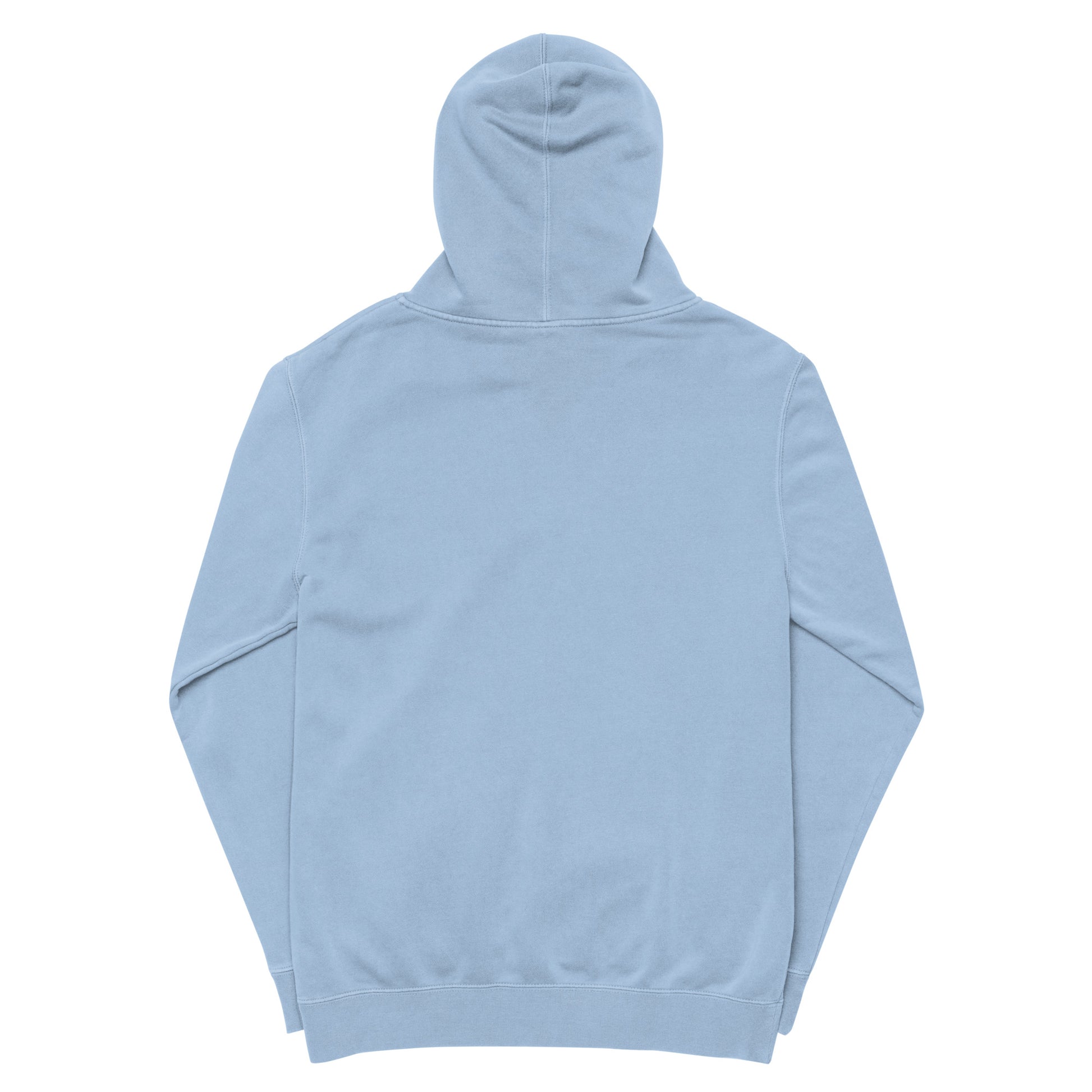 sapphire vintage hoodie back 2